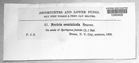 Image Associated With the Occurence